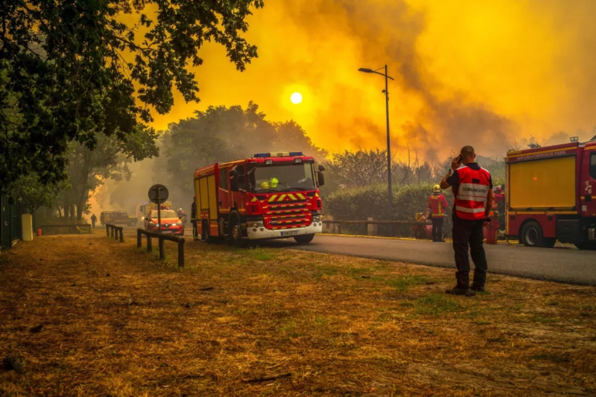France arrests more than 300 people in connection with forest fires