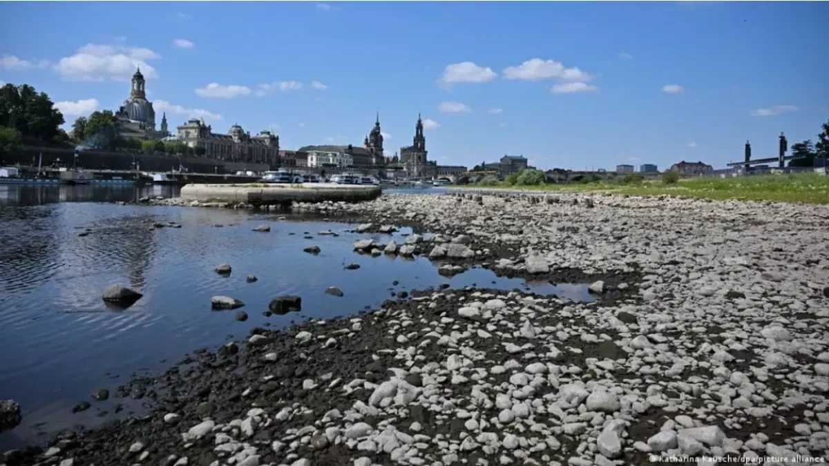 Germany's inland shipping under pressure as rivers run dry