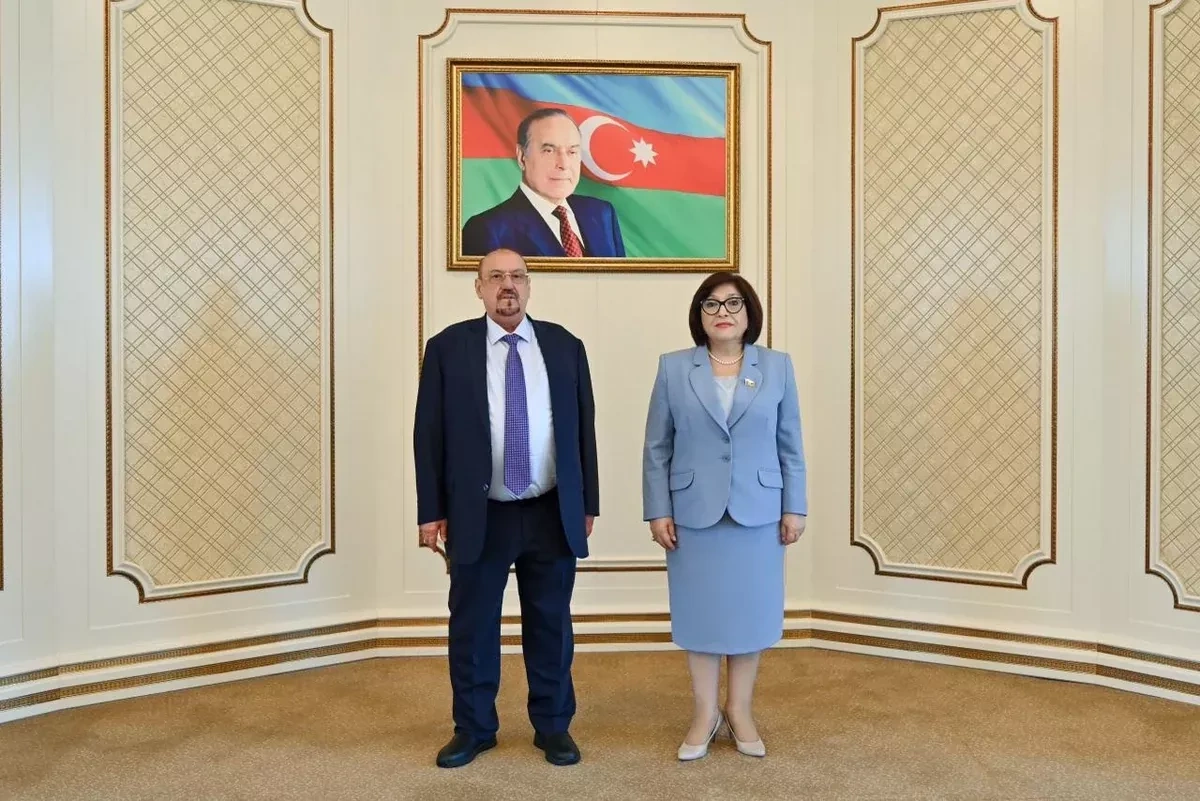 Azerbaijan, Yemen discuss establishing parliamentary friendship groups PHOTO