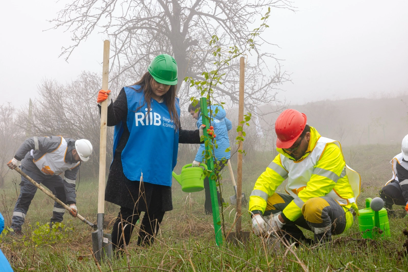 Series of tree-planting campaigns held in Dashkasan district (PHOTO)
