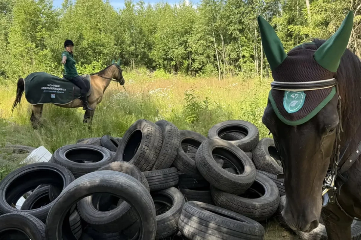 Russia launches mounted environmental police to patrol forests in Leningrad region
