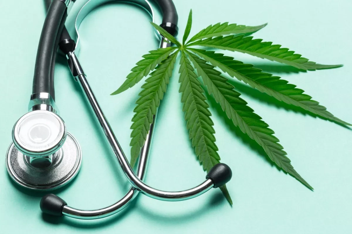 Israeli scientists engineer “turbo cannabis” to maximize use of limited farmland