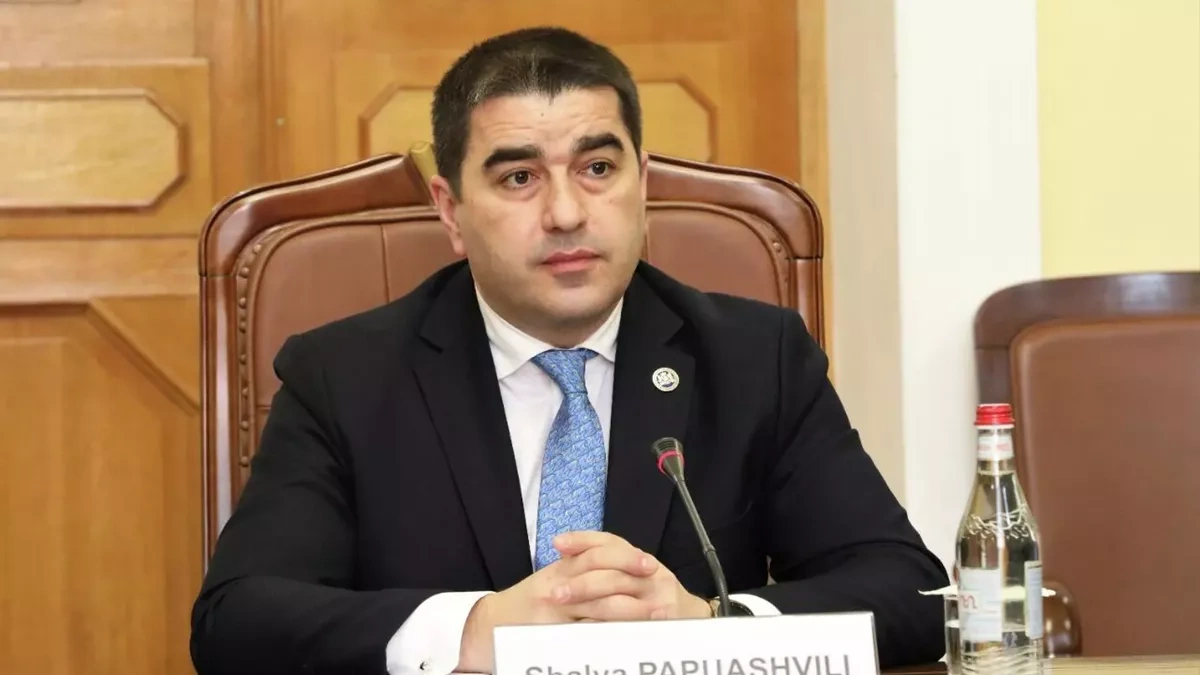 Georgian top lawmaker accuses UK envoy of spreading disinformation to students