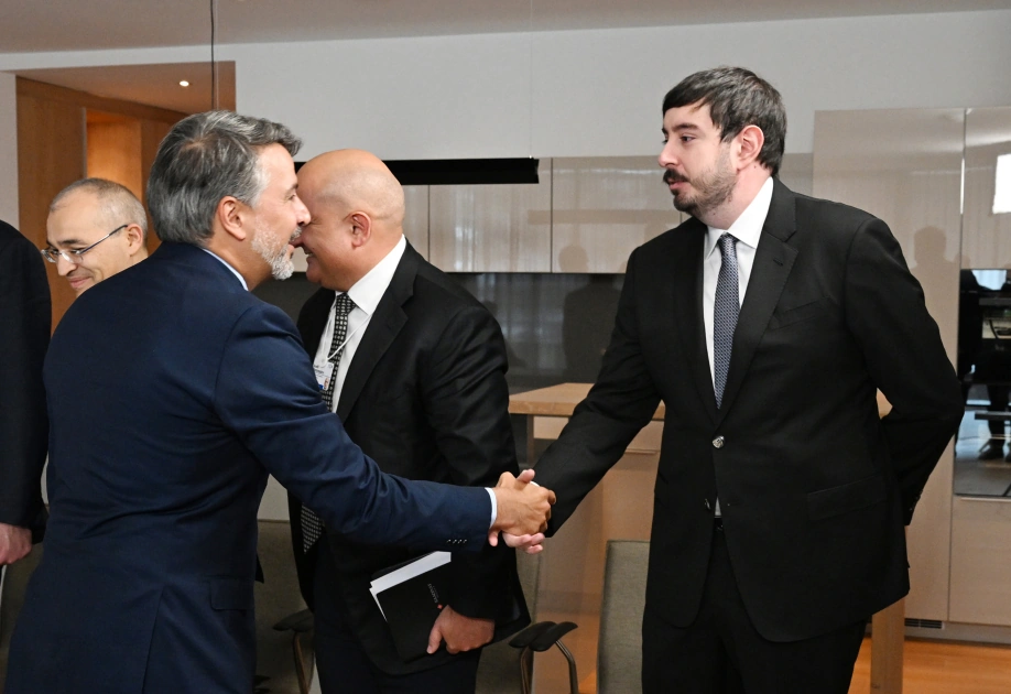 President Ilham Aliyev meets with Brazilian BTG Pactual company chairman in Davos (PHOTO)