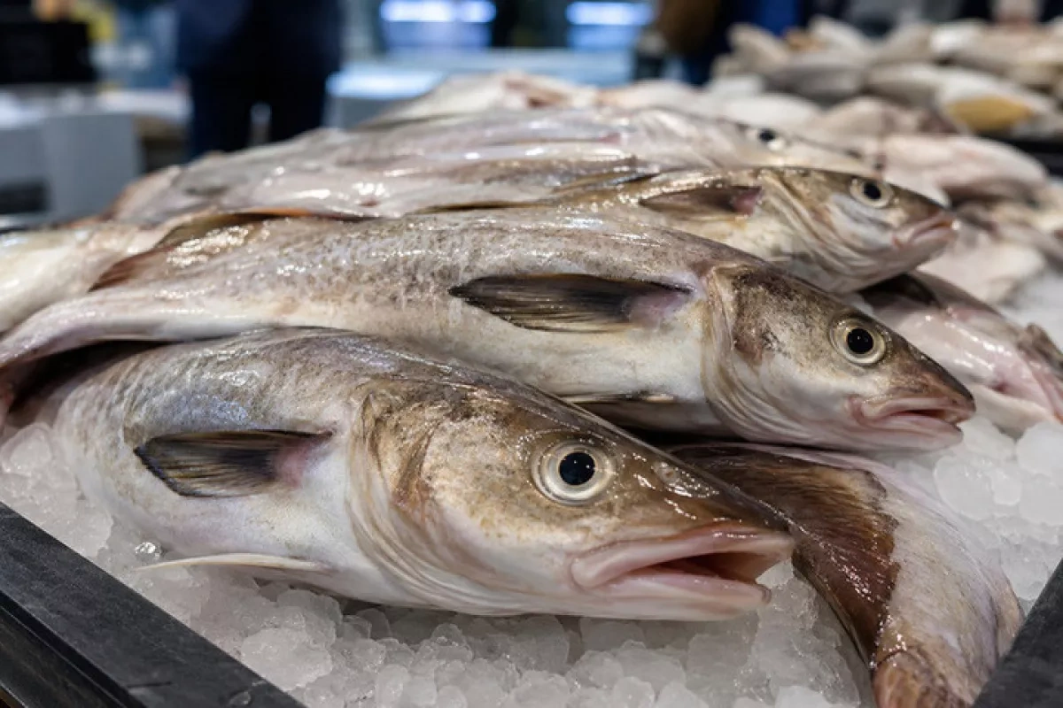 Russia warns of more fish import restrictions on Armenia