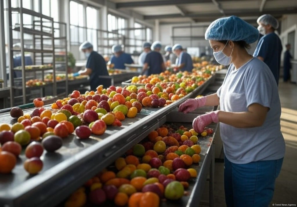 Russia leads Azerbaijan's fruit, vegetable exports with 83.1% in 8 months