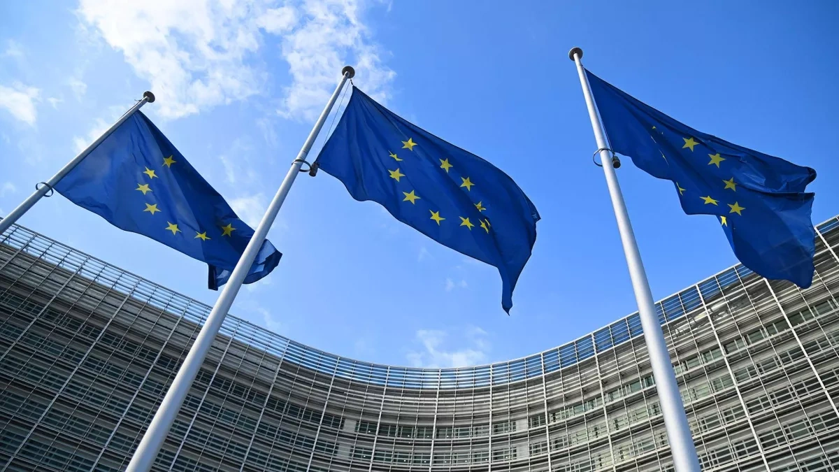 Politico: EU countries urge faster creation of migrant centres in third countries
