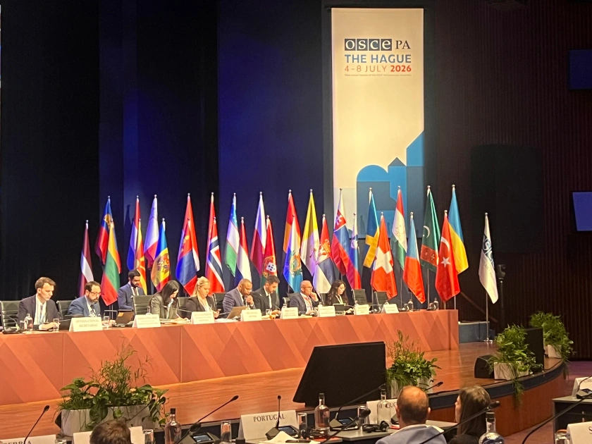 Azerbaijan’s Digital Development Council activities presented at OSCE PA session