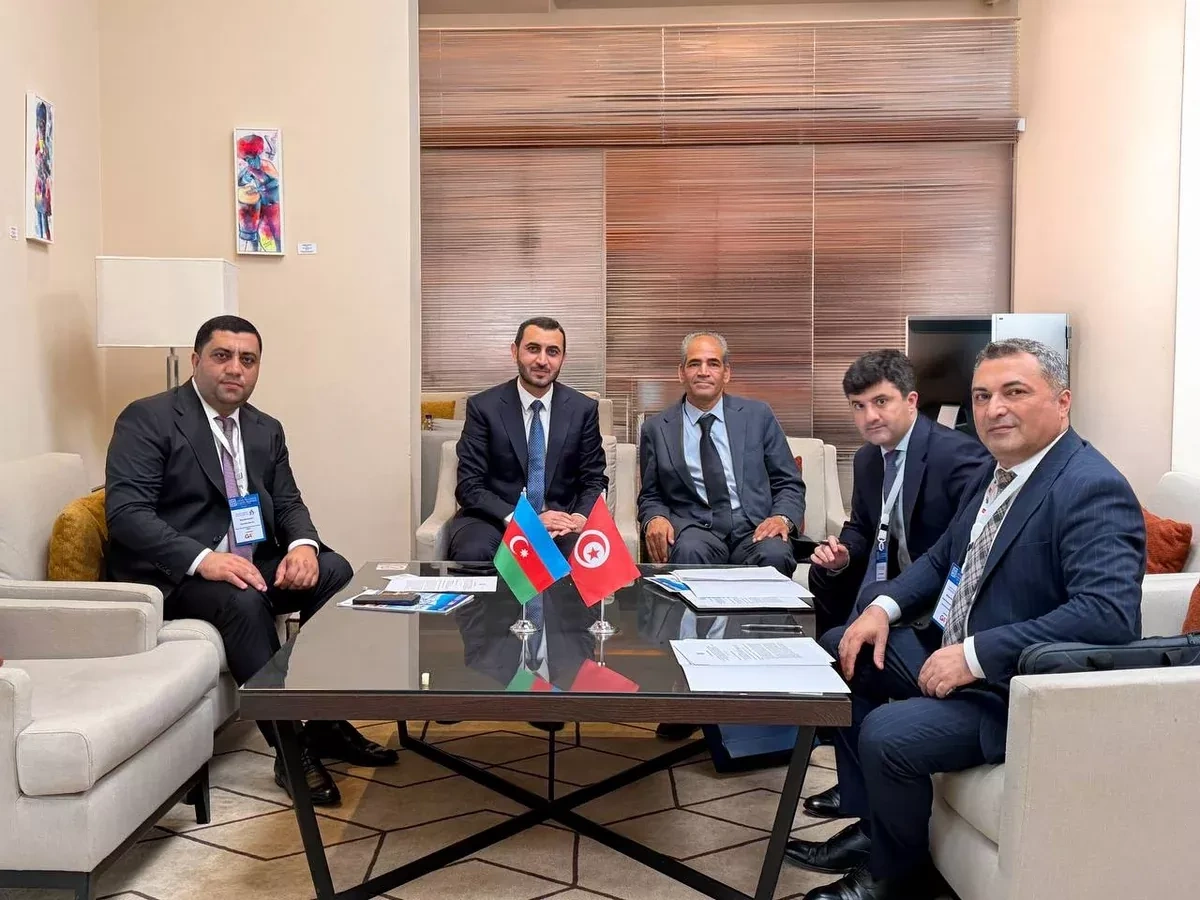 Azerbaijan presents social insurance reforms at conference in Tunisia PHOTO