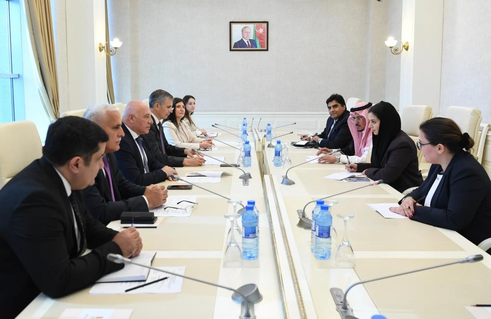 Milli Majlis hosts talks on future Azerbaijan-OIC relations (PHOTO)