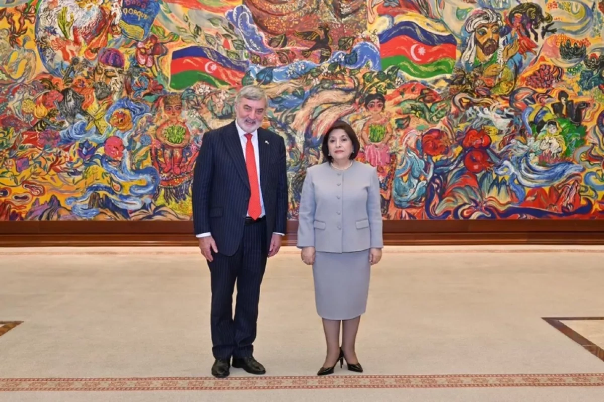 Azerbaijani parliament chairperson, UK trade envoy discuss bilateral ties Photo