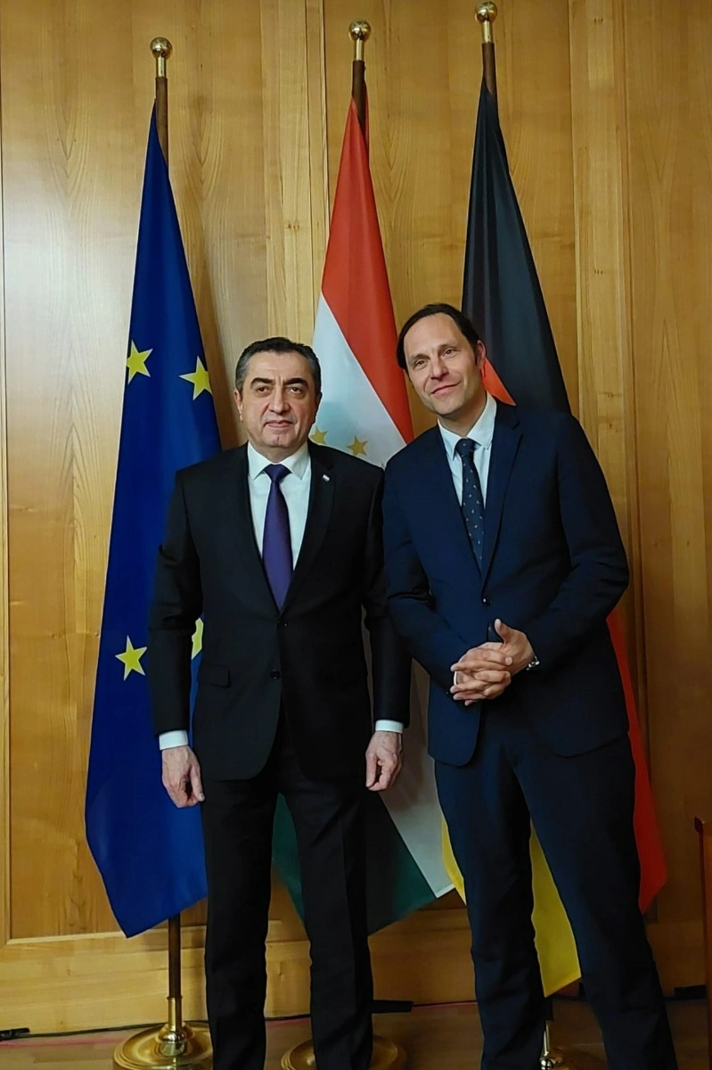 Tajikistan, Germany explore new avenues for mutually beneficial co-op