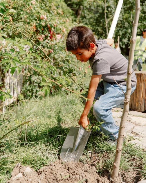 Leyla Aliyeva attends opening of individual exhibition and tree-planting campaign in Gabala (PHOTO)