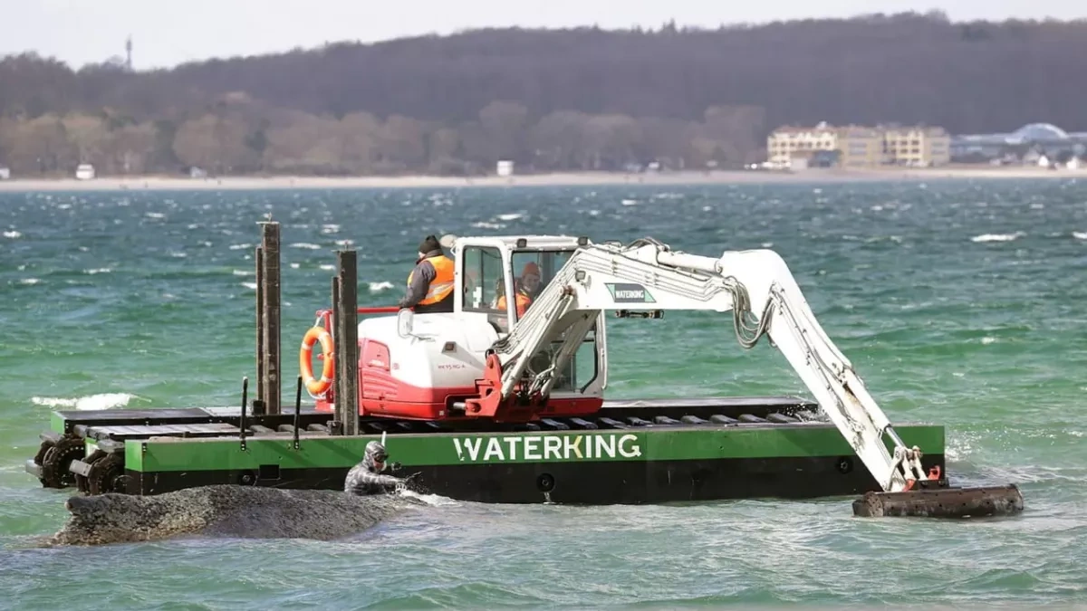 Stranded whale in Germany frees itself after days in shallow waters