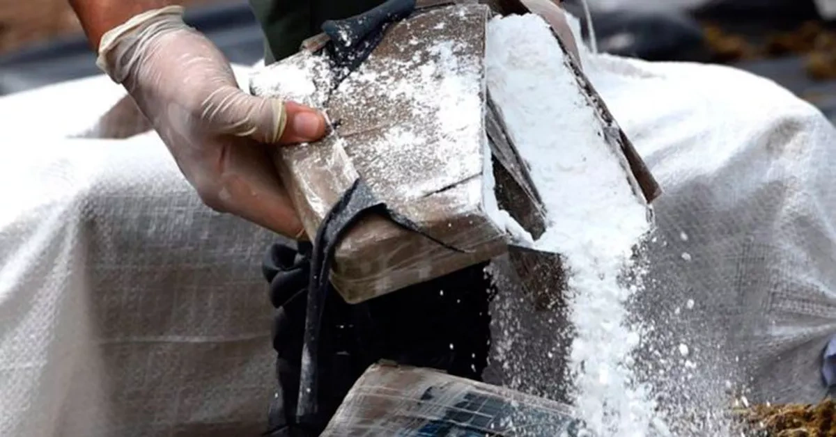 France seizes nearly one tonne of drugs