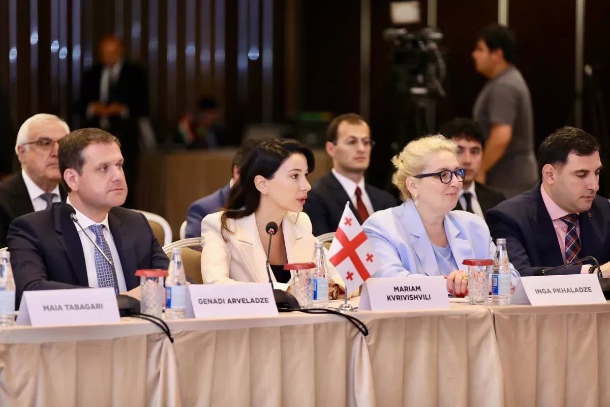 Minister: Caspian Sea-Europe Green Energy Corridor enters development phase PHOTO