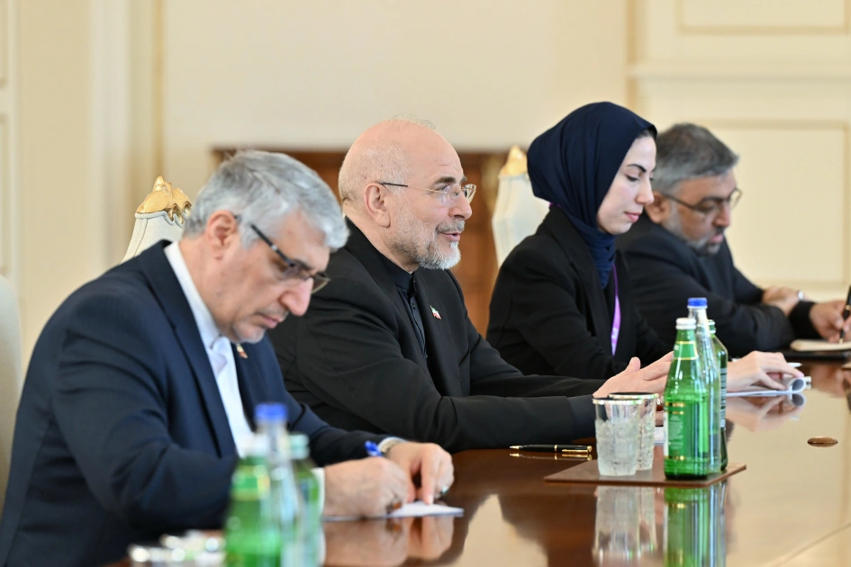 President Ilham Aliyev receives delegation led by Chairman of Islamic Consultative Assembly of Iran (PHOTO)