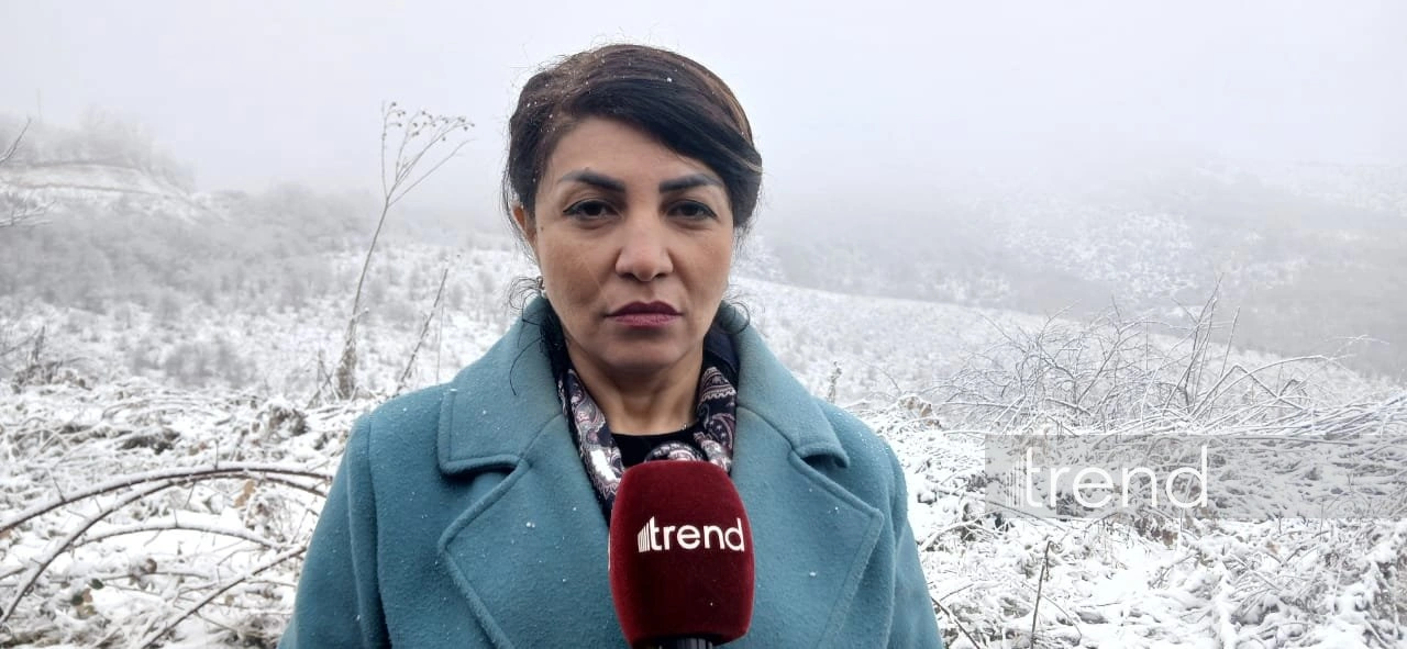 Azerbaijan sheds light on latest data for housing reconstruction in Heyvali village