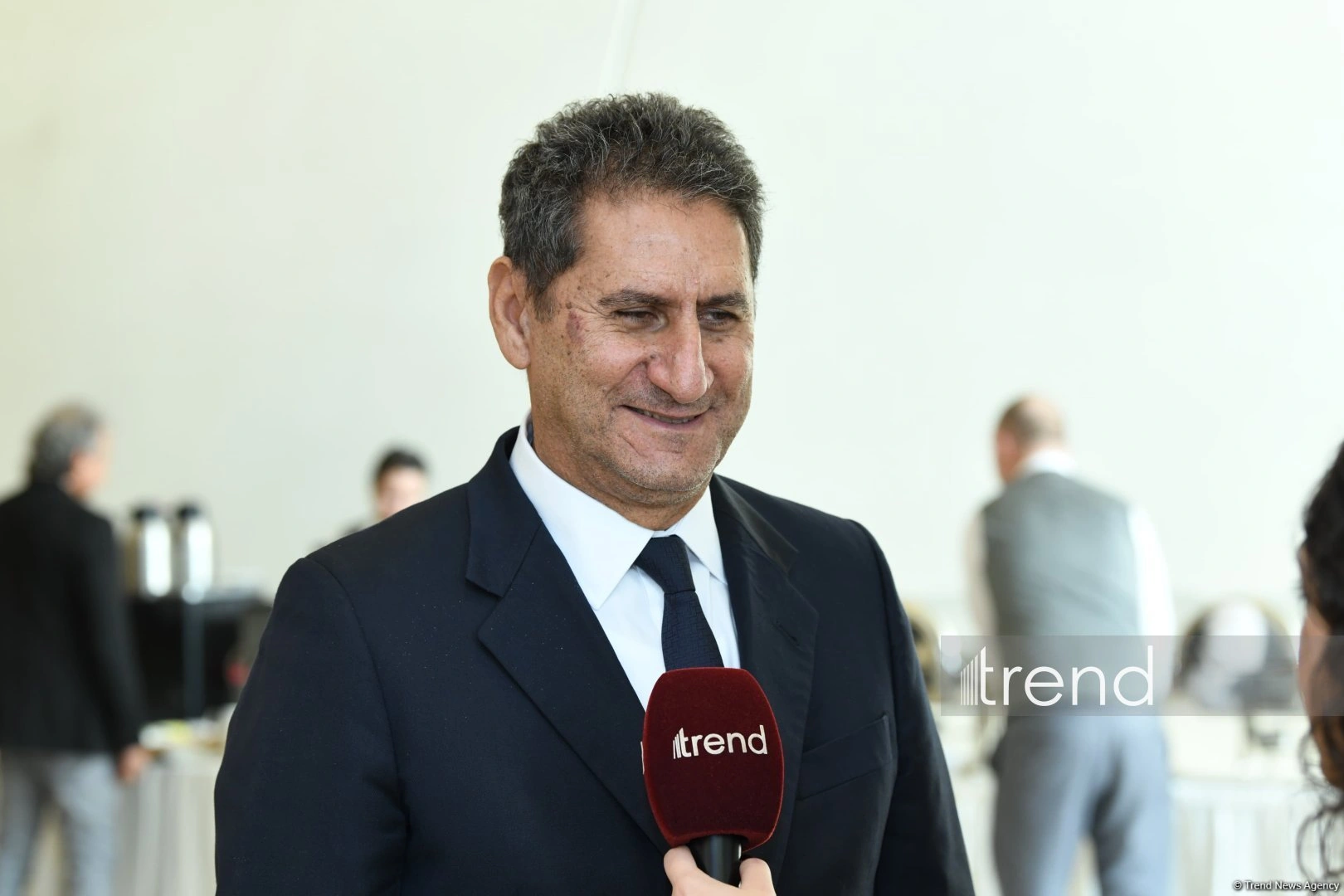 IRENA chief: New energy system increasingly dominated by renewables, hydrogen and biomass (Exclusive interview)
