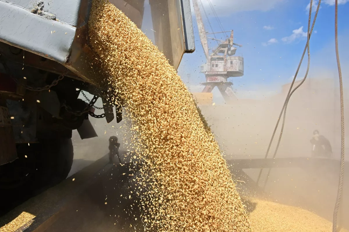 Armenia extends grain export restrictions for six months