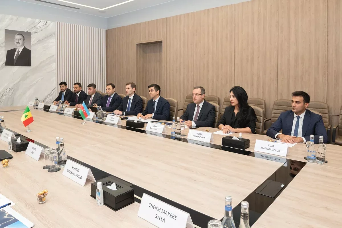 Azerbaijan, Senegal discuss cooperation in digital development, innovation PHOTO
