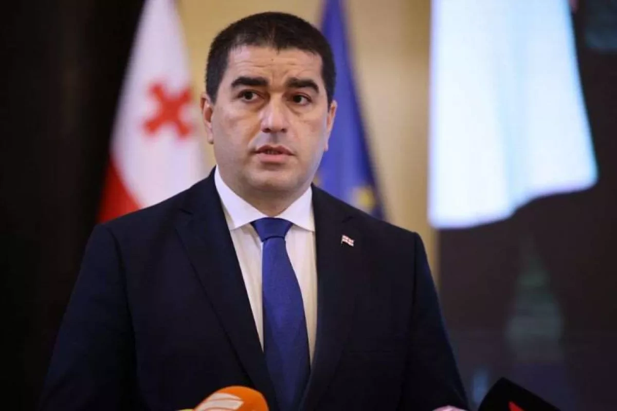 Georgia speaker accuses Brussels of using visa rules as political weapon