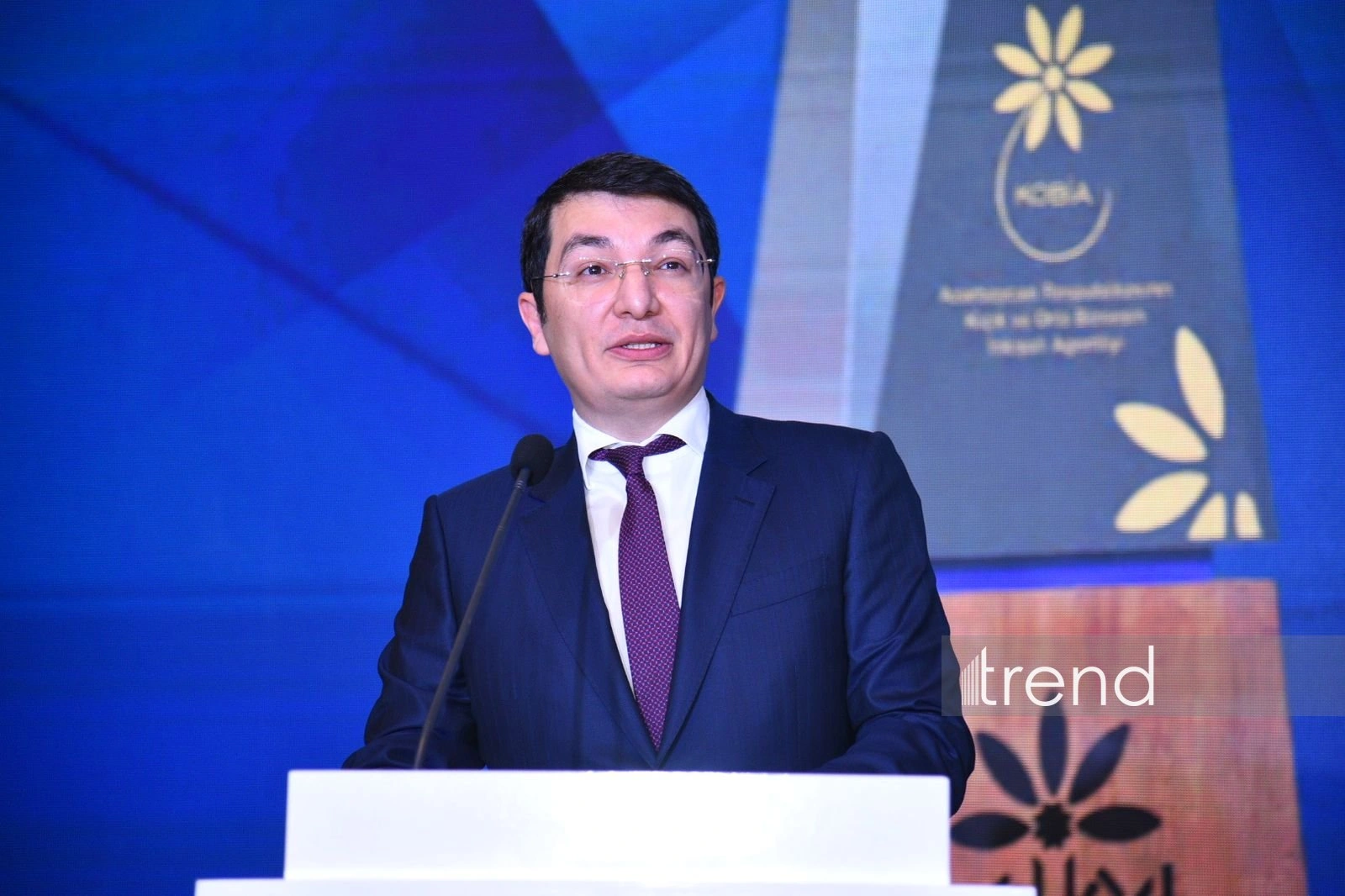 Azerbaijan's private sector dominates in industrial output from early 2025