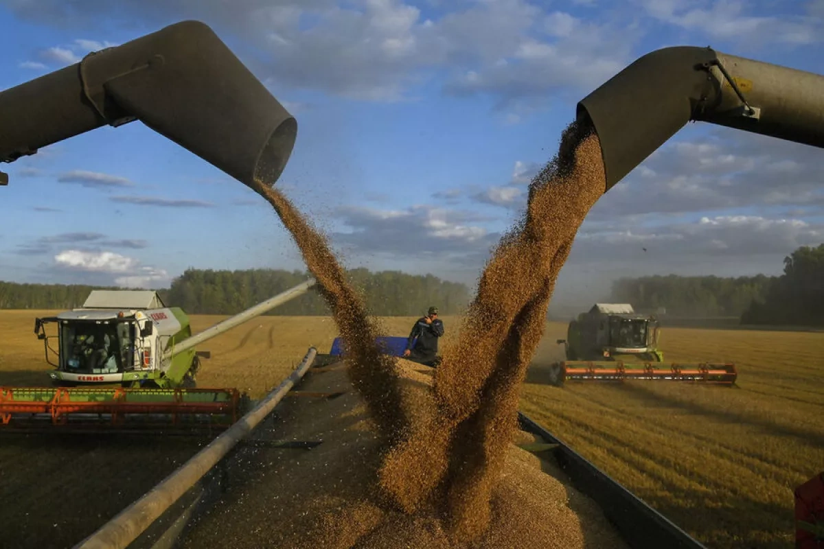 Moldova to end restrictions on Ukrainian grain, oilseed imports