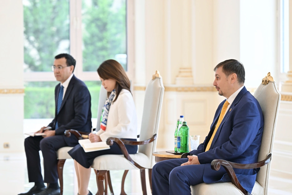 President Ilham Aliyev receives newly appointed UN Resident Coordinator in Azerbaijan (PHOTO)