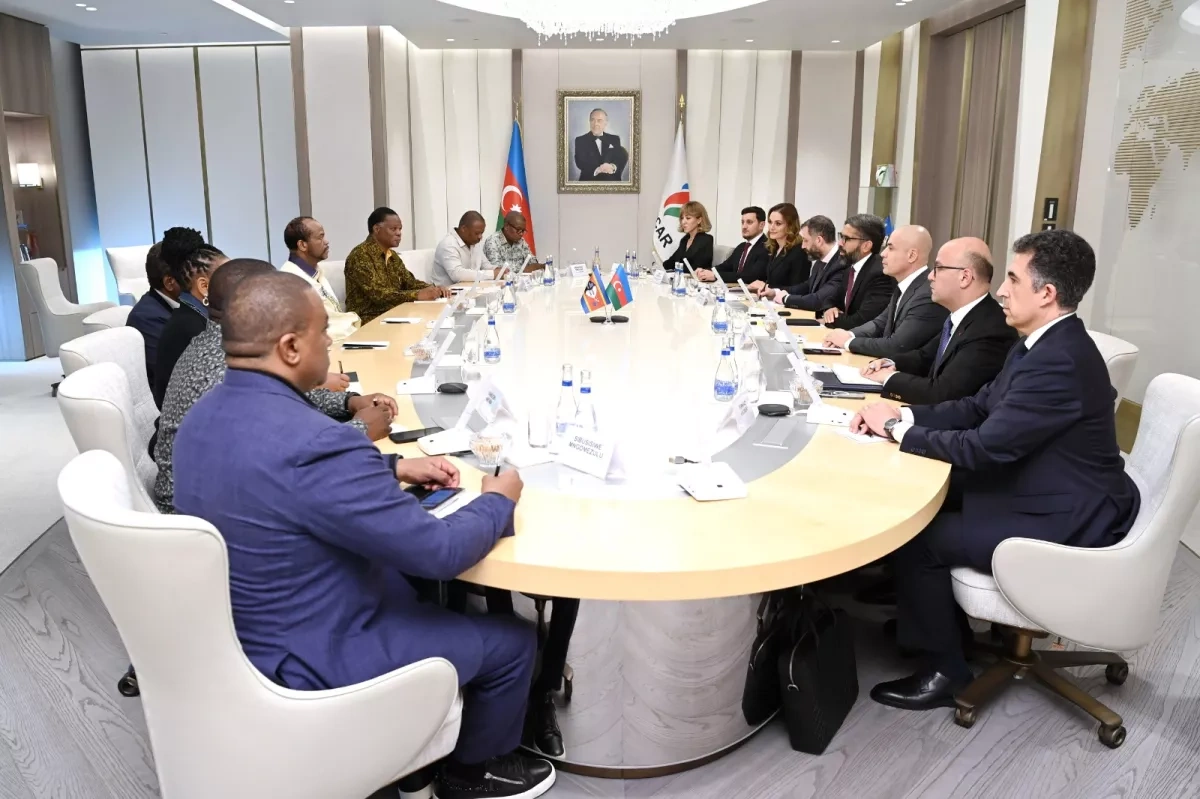 SOCAR, Eswatini hold talks on energy cooperation, investment opportunities PHOTO