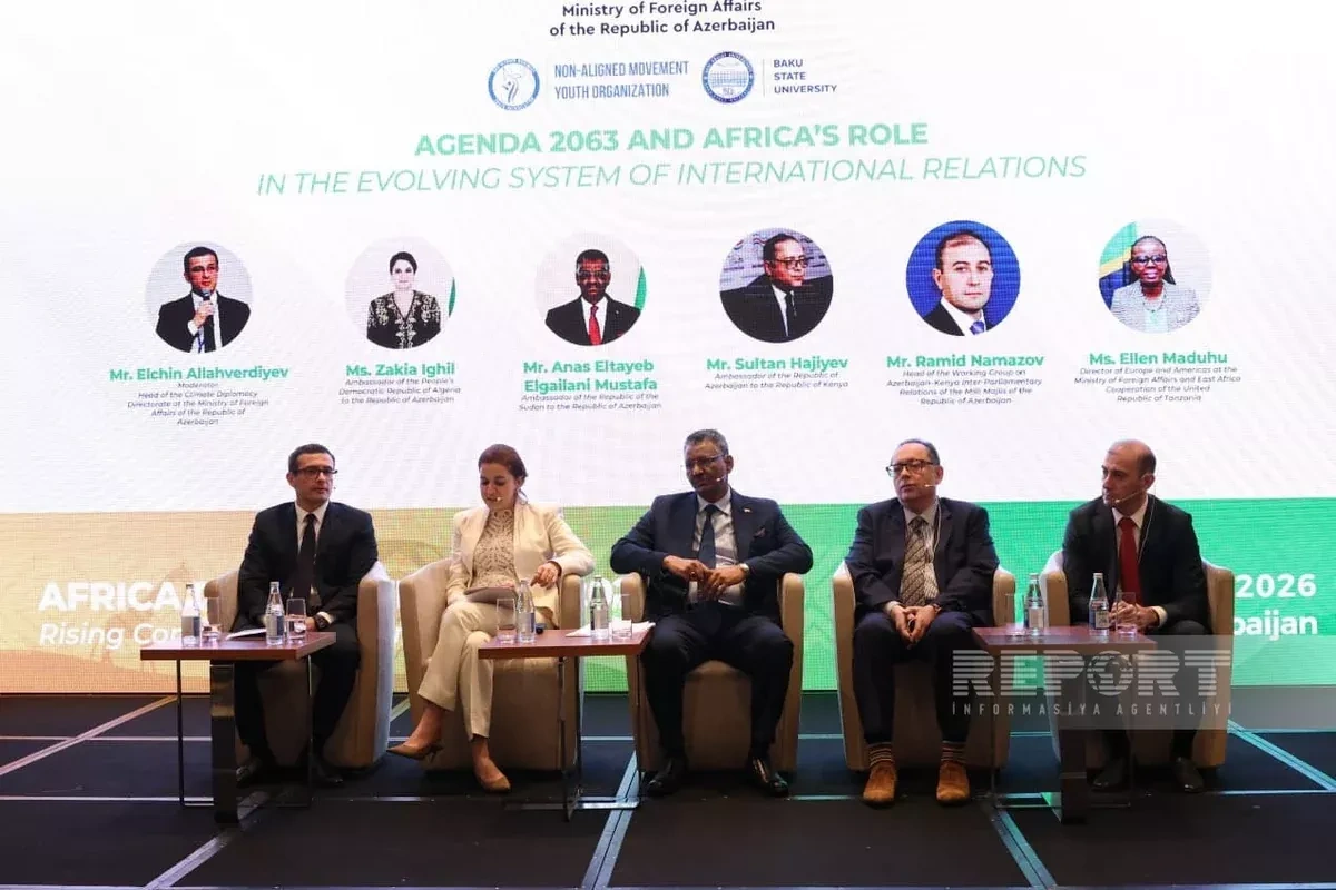 Azerbaijan says cooperation with Africa based on complementary potential