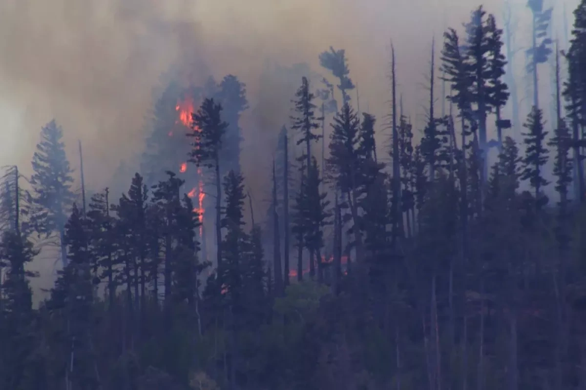 Medical plane crashes near New Mexico, killing all four people on board