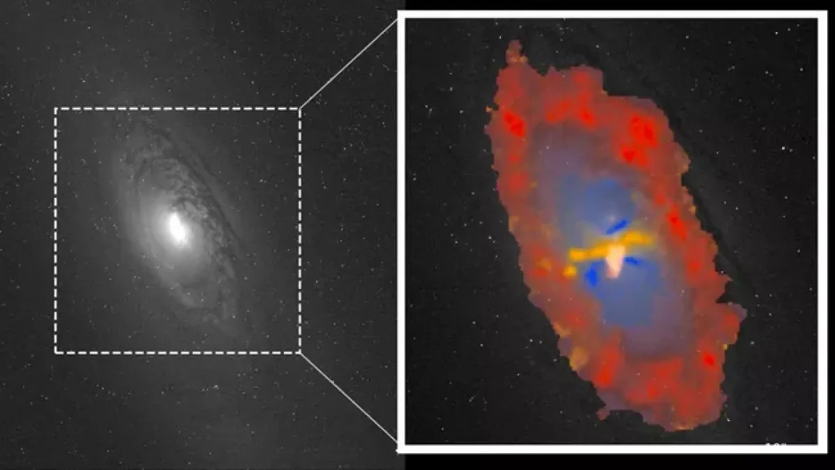 How black holes can shape galaxies around them