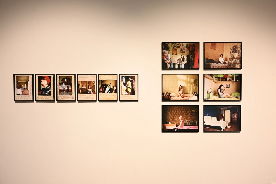 Leyla Aliyeva participates in group exhibition titled “A House Opening onto the Landscape” (PHOTO)