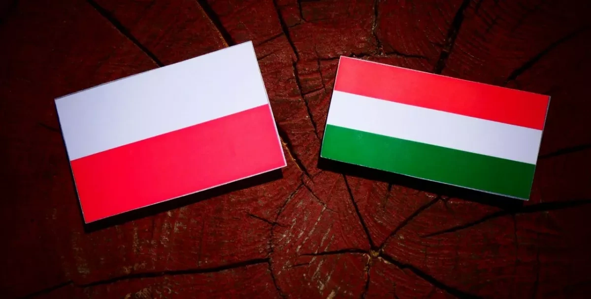 Warsaw demands clarification after Hungary shields two Polish nationals