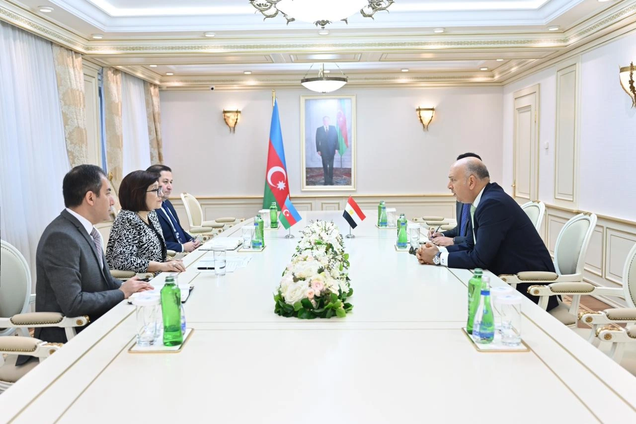 Azerbaijani parliament speaker meets with Egyptian ambassador (PHOTO)