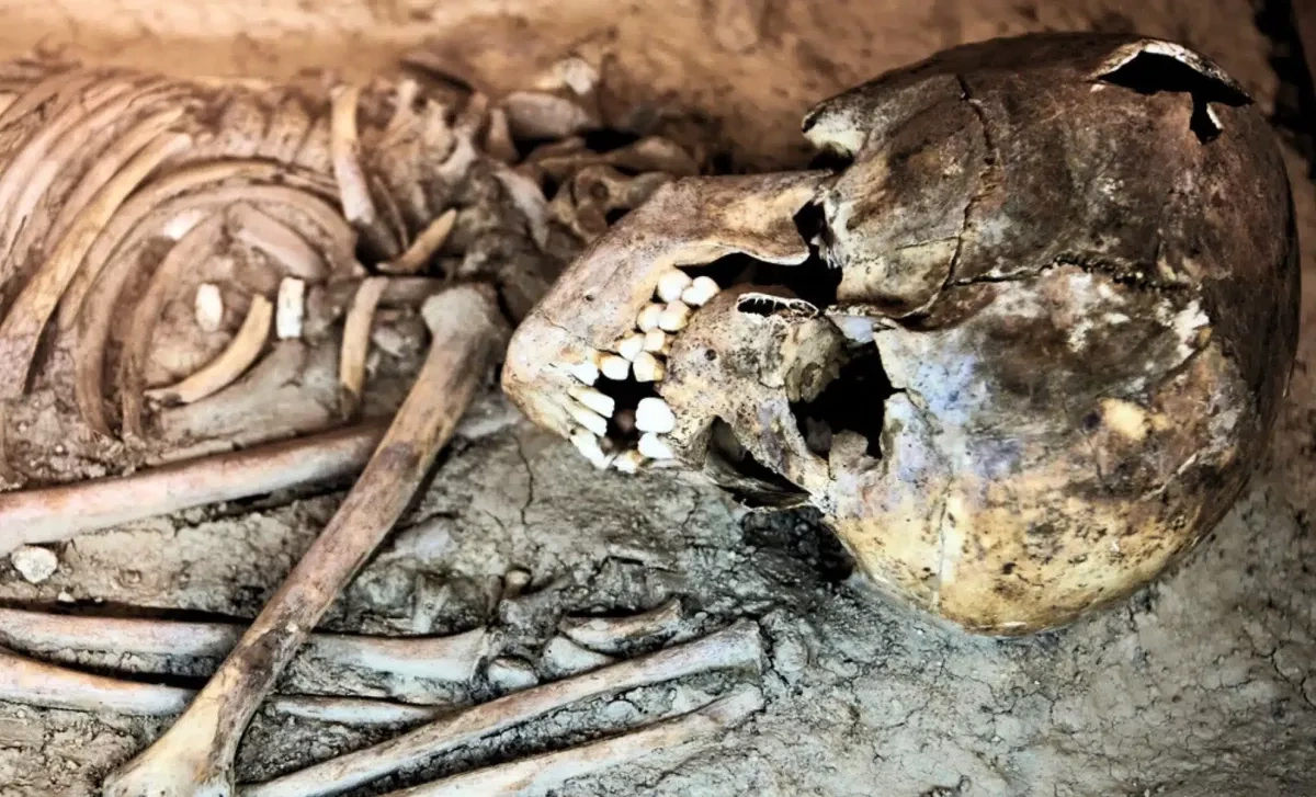 New study claims 140,000-year-old child may be earliest human–Neanderthal hybrid PHOTO