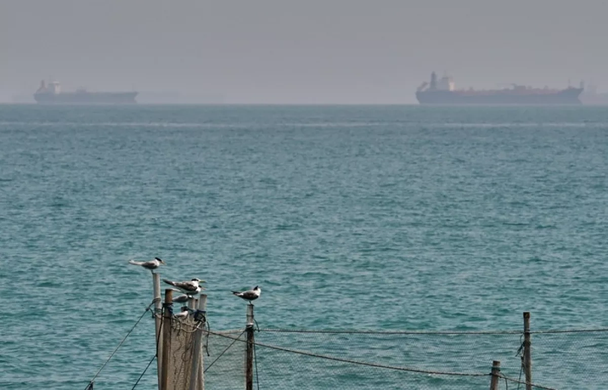 Strait of Hormuz traffic falls sharply to 16 vessels