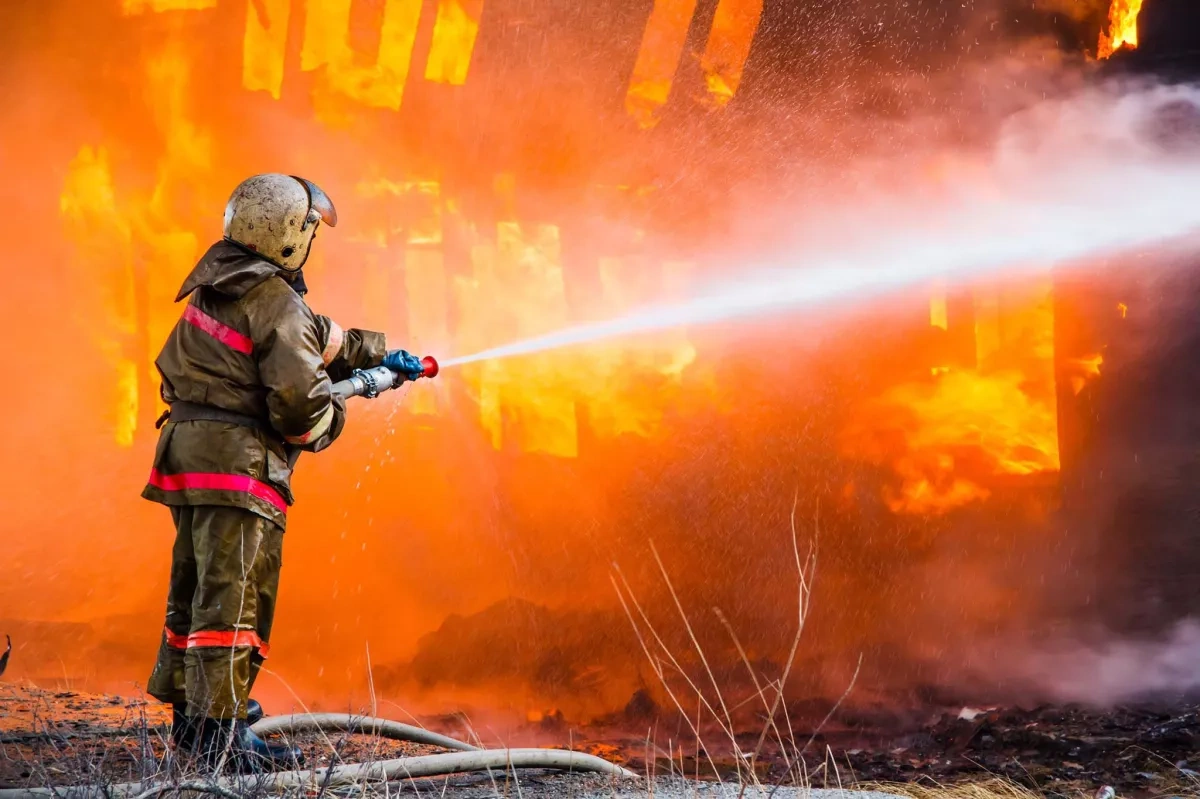 Fire breaks out in Kazakhstan's Almaty Zoo overnight PHOTO