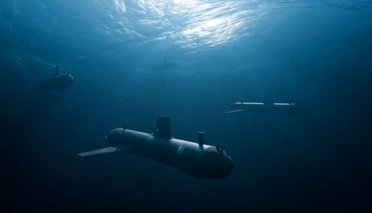 Underwater unmanned vehicle found near port in Türkiye’s Artvin province