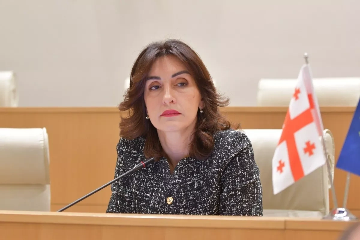 FM Bochorishvili: Ukraine seeking closer ties with Tbilisi