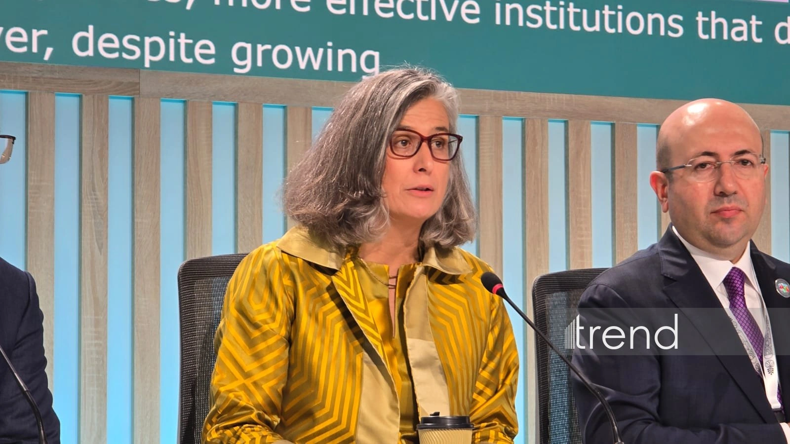 UN New Urban Agenda provides for development of inclusive, resilient, and human-centered cities - Anaclaudia Rossbach
