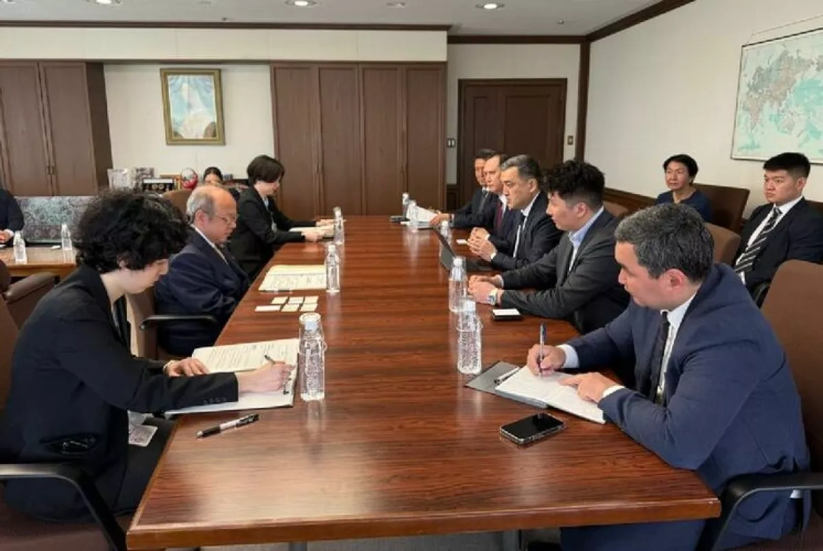 Kyrgyzstan, Japan agree to expand cooperation in labor migration