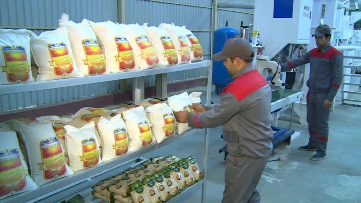 Rice frenzy: From droughts in Asia to price tags in Baku Overview by Khazar Akhundov