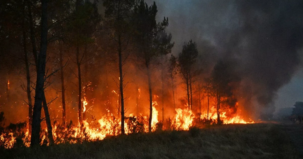 France’s wildfires scorch record 100,000 hectares in 2026