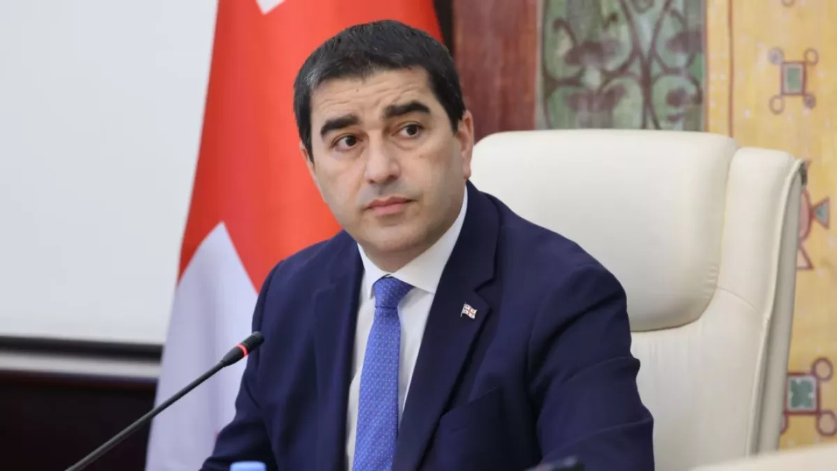 Georgian speaker: Protesters convicted in 2024–2025 “prisoners of shamelessness”