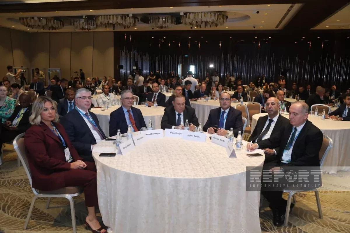 Baku hosts second day of global mine action conference PHOTO