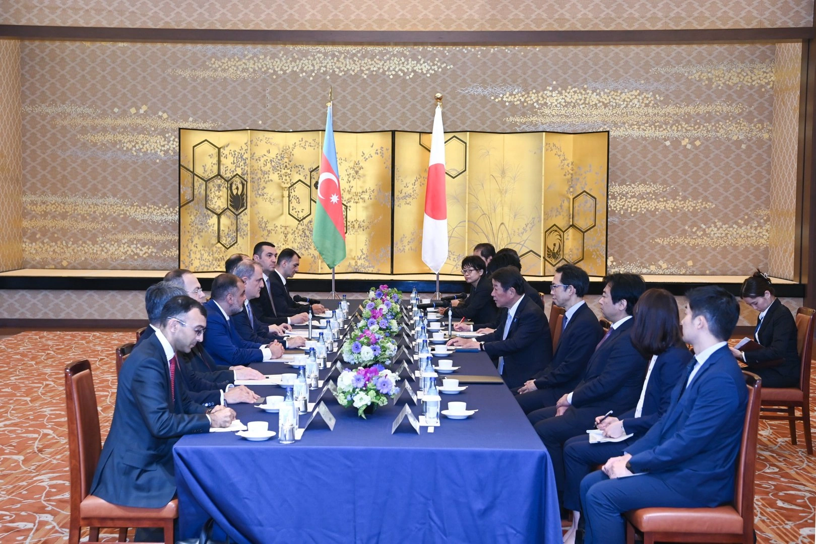 Azerbaijan and Japan discuss strengthening strategic cooperation (PHOTO)