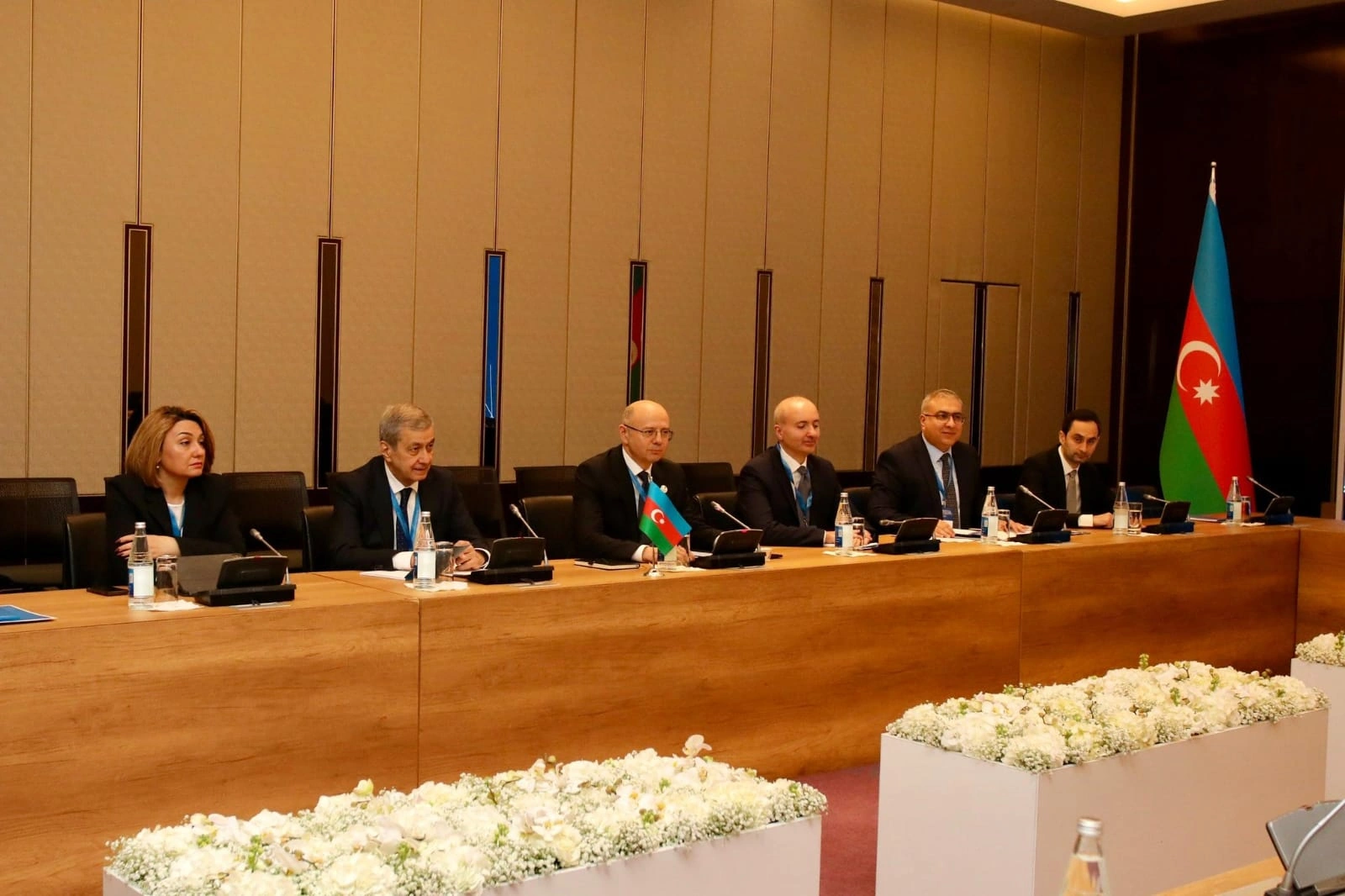 Azerbaijan, Austria explore new frontiers for energy sector co-op (PHOTO)