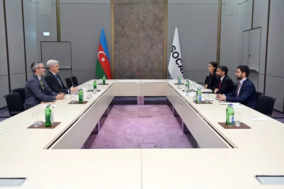 SOCAR, Brookfield discuss energy infrastructure, renewable projects